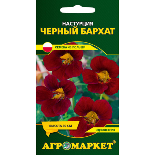 Настурция Черный бархат, 8 шт