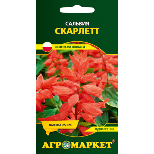 Сальвия Скарлетт, 0.1 г
