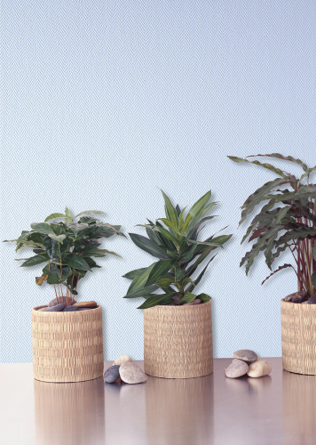 Стеклообои Nortex "Мелкая елочка", 25 м.кв. фото 3