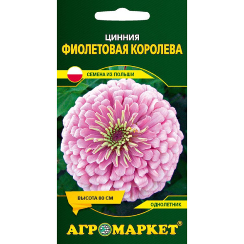 Цинния Фиолетовая королева, 1г