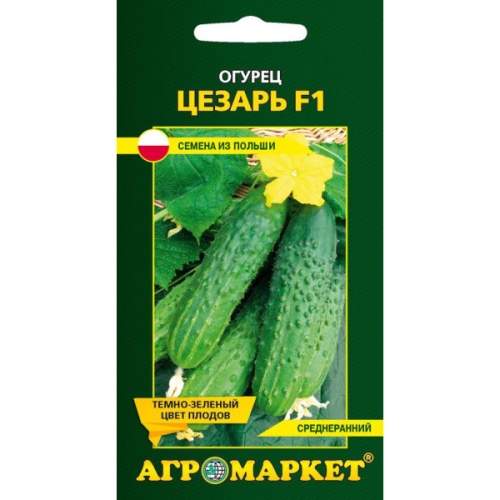 Огурец Цезарь F1, 1г